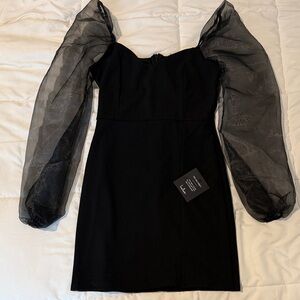 NWT Dress with Sheer Sleeves